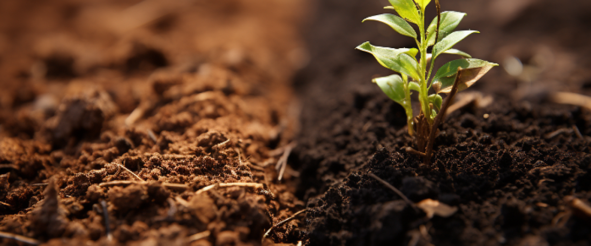 Locally Screened Topsoil vs Regular Topsoil